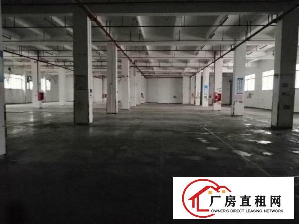 
		龙岗中心城9000平标准物流仓大小分割出租园区可托管
	