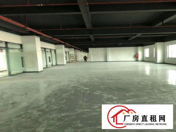 
		布吉木棉湾百鸽笼仓库200平500平5000平大小分租
	