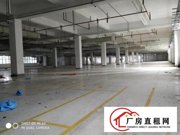 
		丹竹头地铁D出口150，280,500平等厂房招租
	