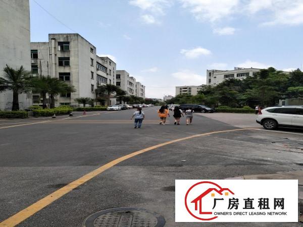 
		丹竹头地铁D出口150，280,500平等厂房招租
	