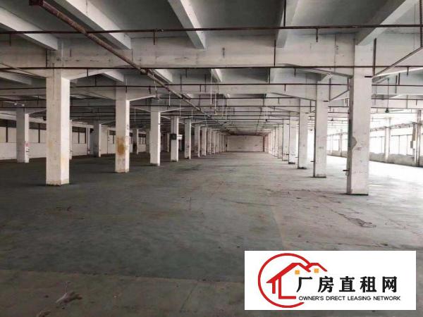 
		丹竹头地铁D出口150，280,500平等厂房招租
	