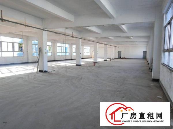 
		布吉上李朗带装修6米高一楼810平米厂房出租
	