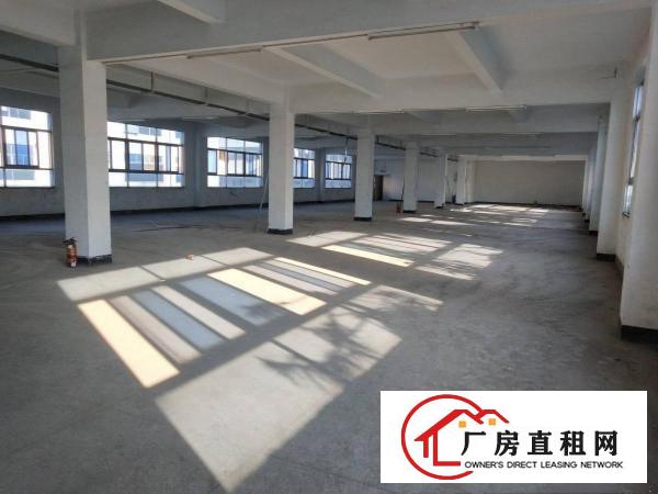 
		布吉上李朗带装修6米高一楼810平米厂房出租
	