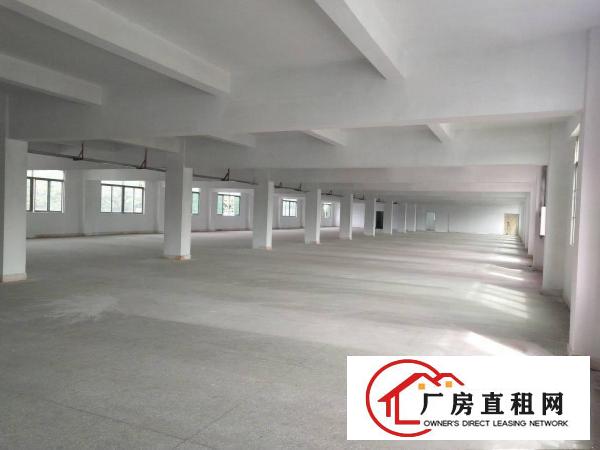
		布吉上李朗带装修6米高一楼810平米厂房出租
	