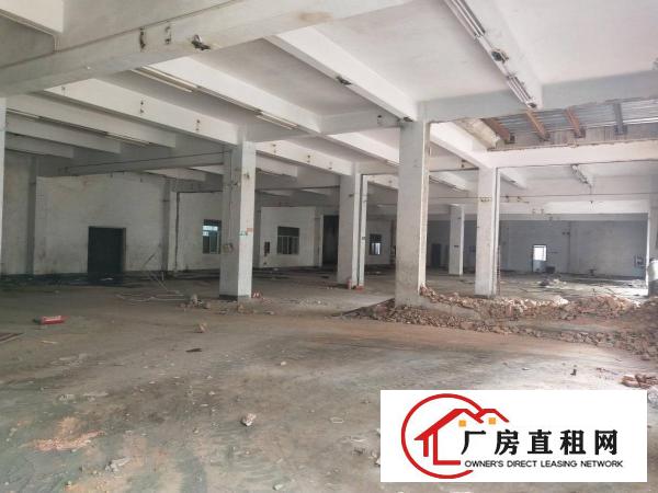 
		布吉上李朗带装修6米高一楼810平米厂房出租
	
