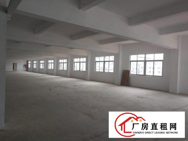 
		布吉上李朗带装修6米高一楼810平米厂房出租
	