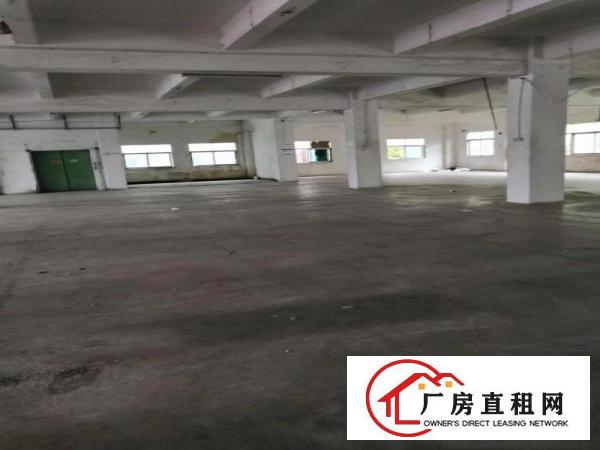
		丹竹头地铁站附近新出厂房200平可分租
	
