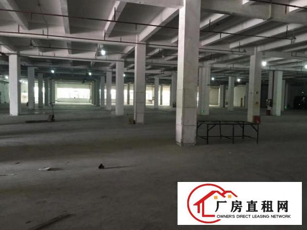 
		布吉丹竹头地铁站3000平方一楼出租大小分租
	