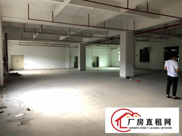 
		丹竹头业主厂房200~1000平米招租
	