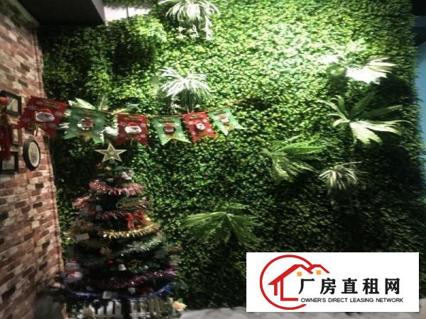 
		布吉丹竹头新出带精装修厂房带玻璃隔间
	