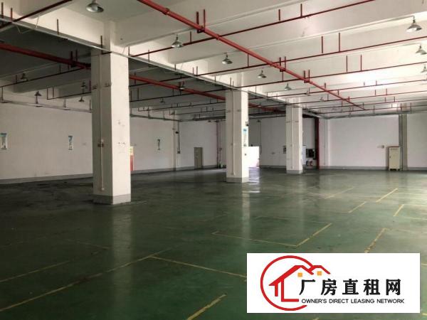 
		布吉李朗低价一楼出租2000平，卸货平台水电齐全，使用率8成
	