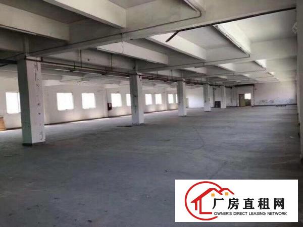 
		布吉上李朗新出厂房1800平户型方正大小可分租
	
