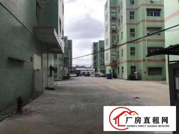 
		布吉上李朗新出厂房1800平户型方正大小可分租
	