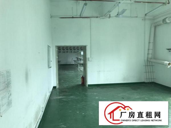 
		布吉丹竹头厂房360平640平1350平出租
	