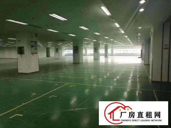 
		布吉吉华路边上大型园区1万平方红本厂房出租200分租可办环评
	