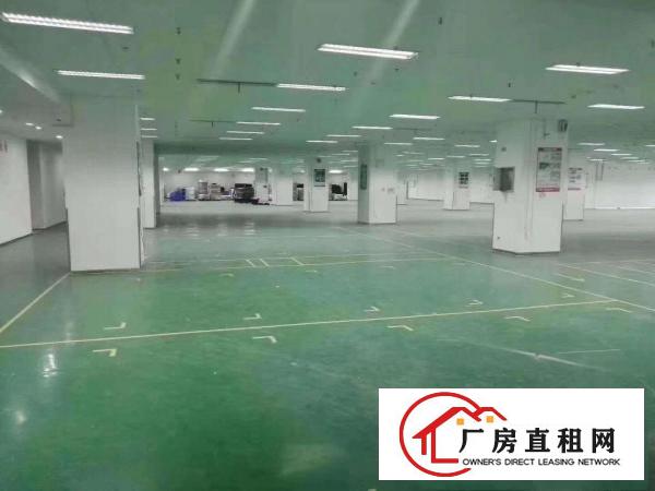 
		布吉吉华路边上大型园区1万平方红本厂房出租200分租可办环评
	