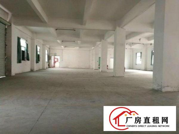 
		布吉丹竹头高速出入口9800平方带卸货平台仓库800平起租
	