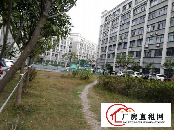 
		布吉李朗独院红本花园式高新技术园区一楼1899平出租可分租
	