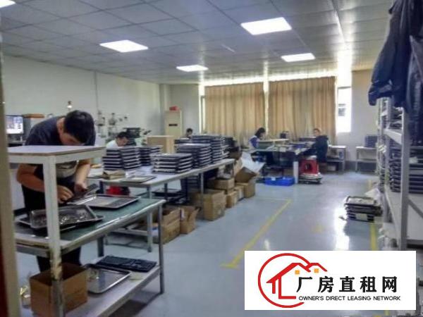 
		布吉独院楼上200平1200平大小面积厂房出租
	
