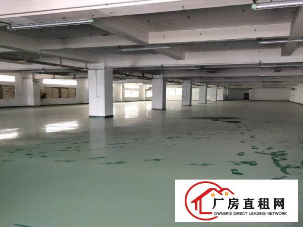 
		布吉坂李大道上李朗200平500平1000平2000平出租
	