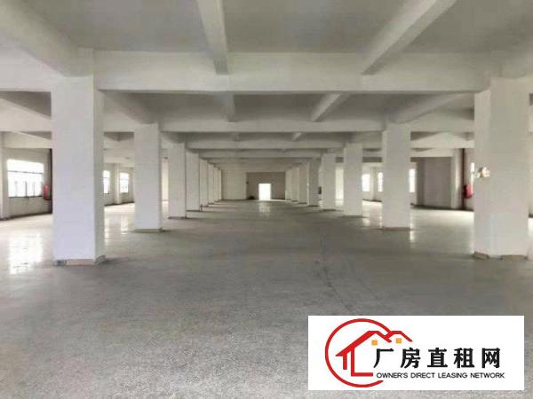 
		布吉沙湾仓库一楼楼上200平300平500平800平大小出租
	