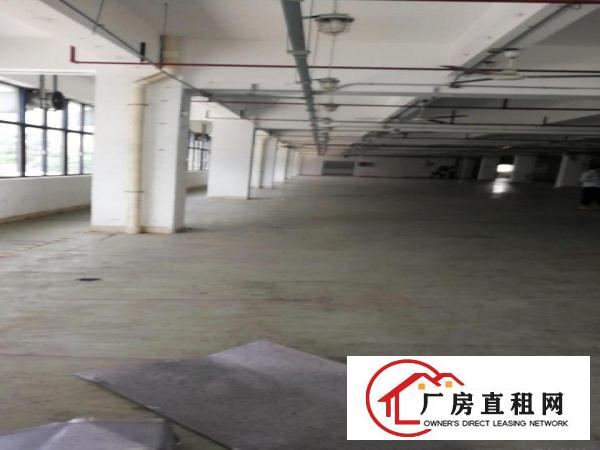 
		布吉上李朗新出厂房使用率大
	