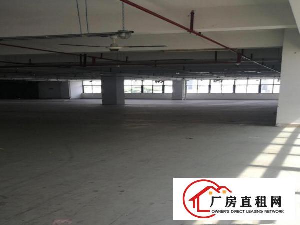 
		布吉上李朗新出厂房使用率大
	