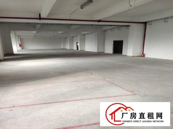 
		李朗厂房200平500平800平2000平大小分租
	