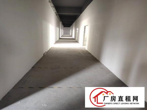 
		李朗厂房200平500平800平2000平大小分租
	
