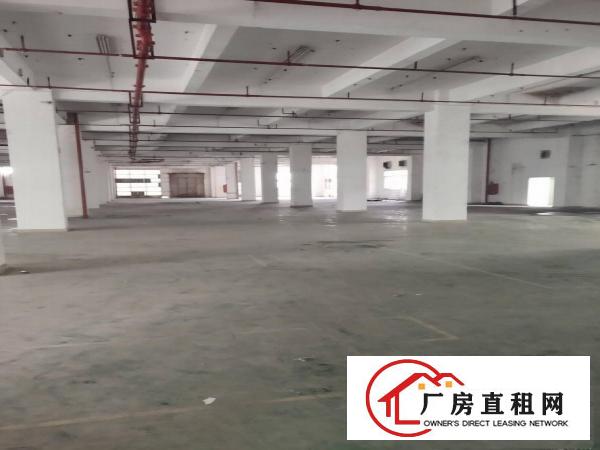 
		李朗厂房200平500平800平2000平大小分租
	