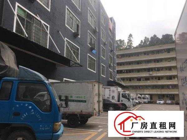 
		布吉丹竹头新空出豪华装修办公仓库368平方出租
	
