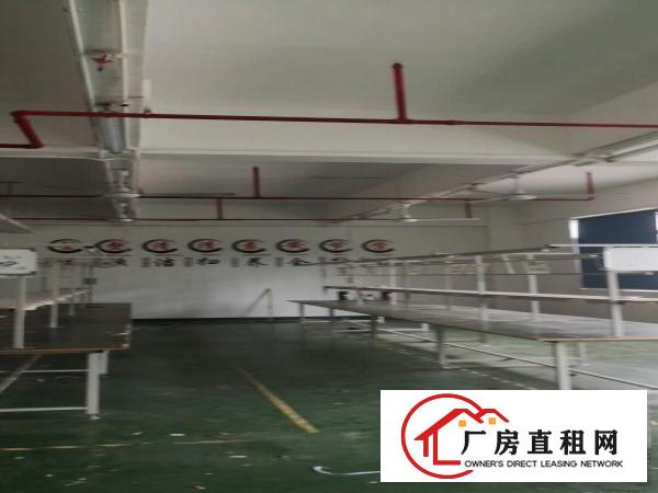 
		布吉丹竹头新空出豪华装修办公仓库368平方出租
	