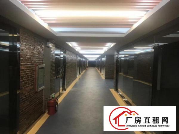 
		布吉丹竹头新出电商园全新装修
	