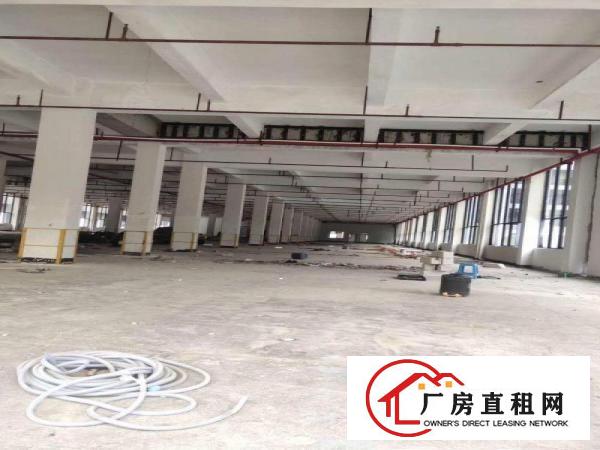 
		布吉木棉湾新出园区500,1000,1500平可大小分租
	