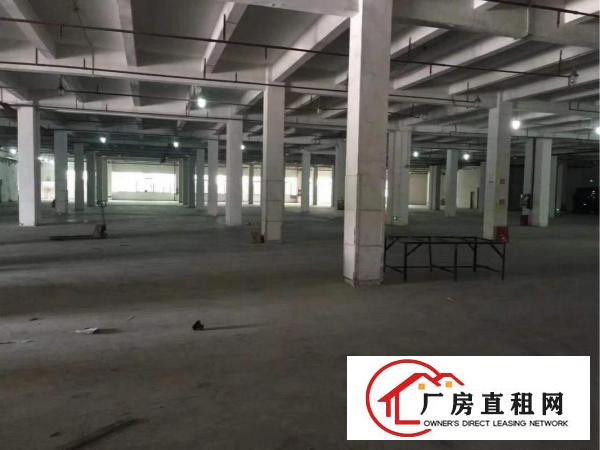 
		布吉木棉湾新出园区500,1000,1500平可大小分租
	
