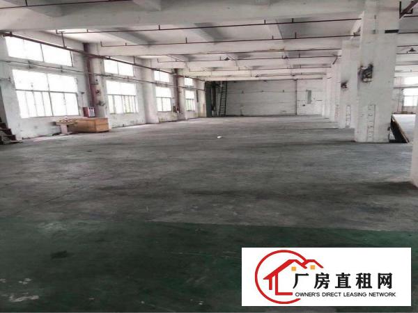 
		布吉木棉湾新出园区500,1000,1500平可大小分租
	
