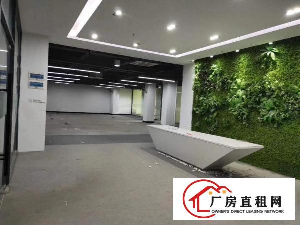 
		布吉木棉湾地铁口电商办公:501000自由组合
	