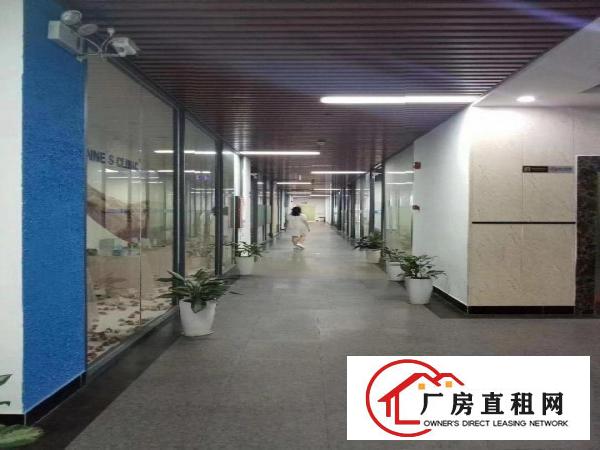 
		布吉木棉湾地铁口电商办公:501000自由组合
	