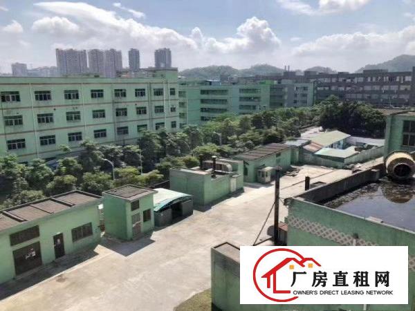 
		布龙路旁大型园区一二楼厂房100平300平2000平出租
	