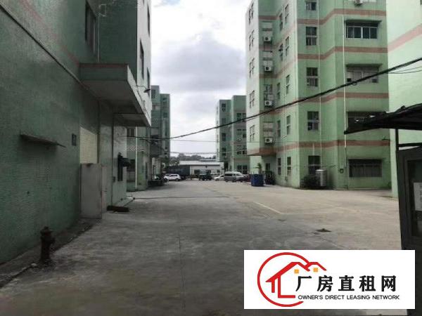 
		布龙路旁大型园区一二楼厂房100平300平2000平出租
	