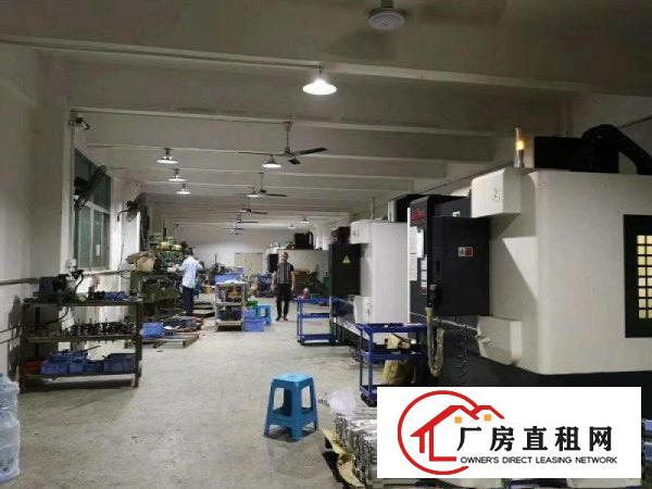 
		布吉丹竹头龙岗大道边带装修无需转让费600平厂房
	