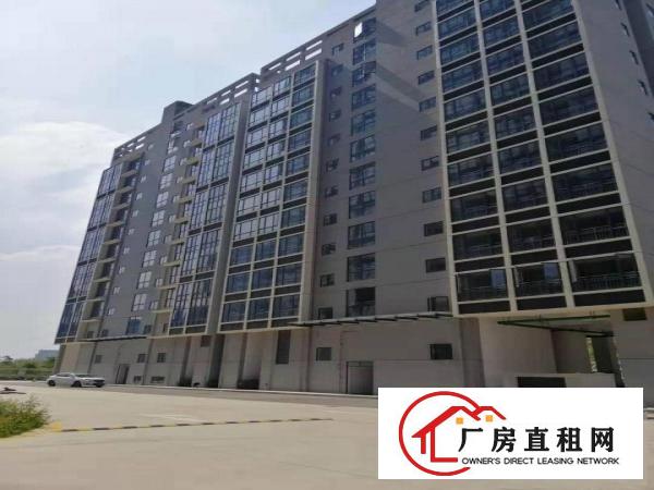 
		中海信单层1600平全新研发楼租金优惠还可申请补贴
	