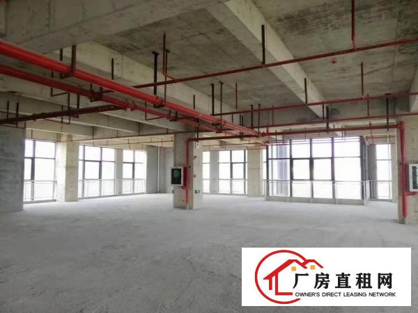 
		中海信单层1600平全新研发楼租金优惠还可申请补贴
	