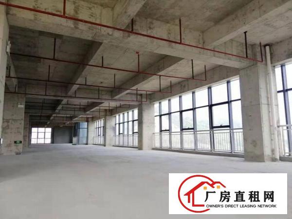 
		中海信单层1600平全新研发楼租金优惠还可申请补贴
	
