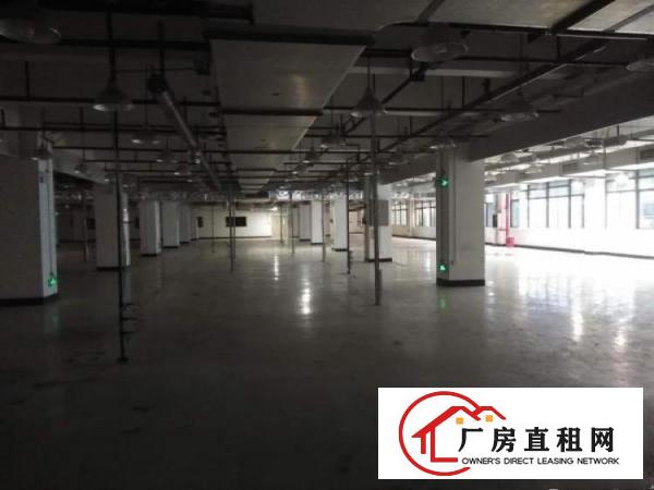 
		布吉上李朗厂房200平500平3000平面积大小可自由选择
	