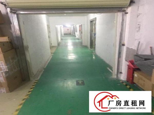 
		布吉丹竹头新出厂房1000平紧靠地铁口可分租
	
