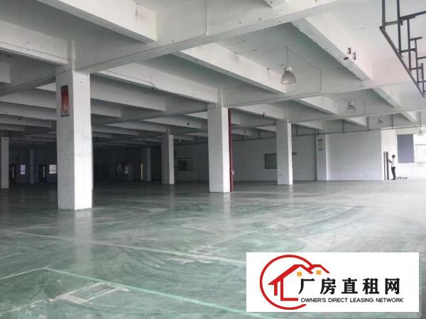 
		布吉百门前村委厂房3000平方使用率高200起分
	