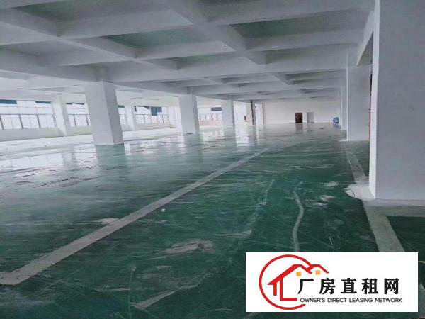 
		新出布吉丹竹头地铁站D出口3000平米厂房出租分租
	