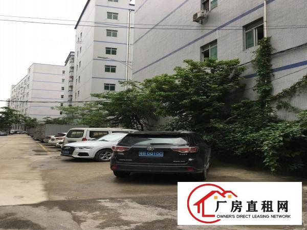 
		新出布吉丹竹头地铁站D出口3000平米厂房出租分租
	