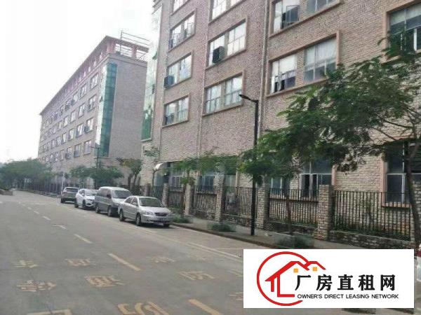 
		布吉丹竹头地铁电商园288平起分租有红本水电齐全
	